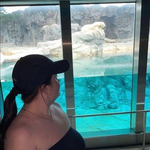 Meet your Posher, Mackenzie